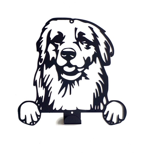 Appendi Guinzaglio Golden Retriver 1