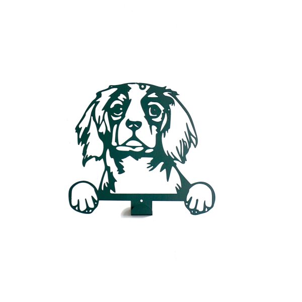 Appendi Guinzaglio Cavalier King