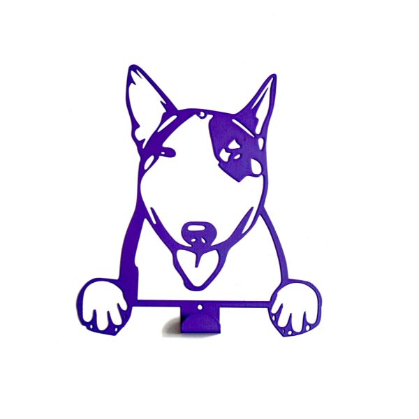 Appendi Guinzaglio Bull Terrier